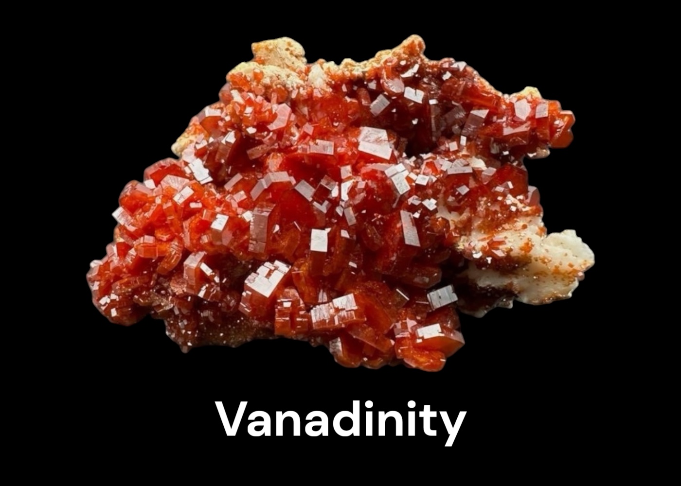 Vanadinity